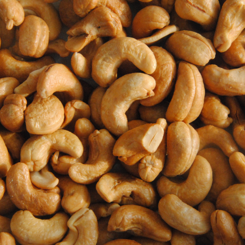 Premium Quality Cashew Nuts